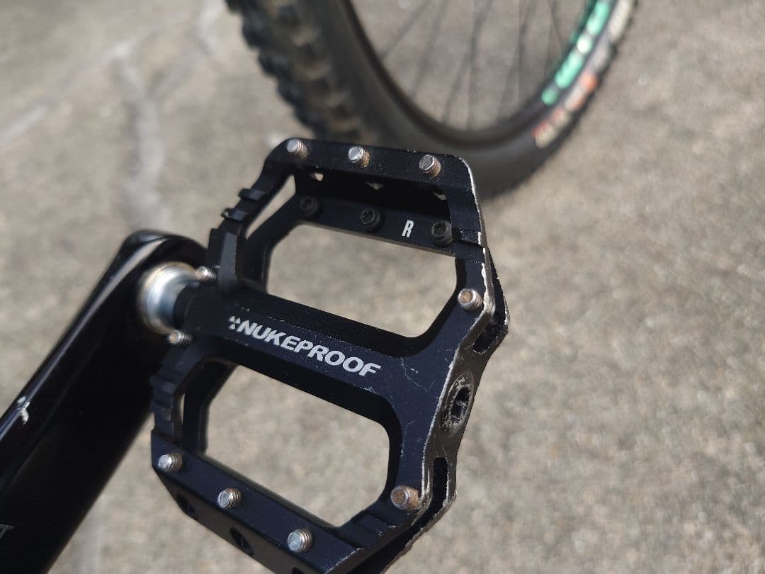 ロッキーマウンテン　リーパー　　手渡し、引き取り希望