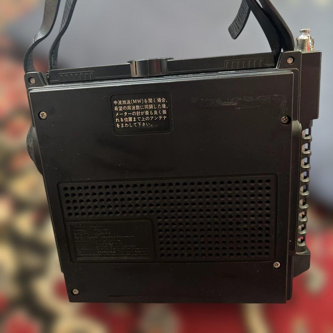 フェン　National Panasonic Cougar