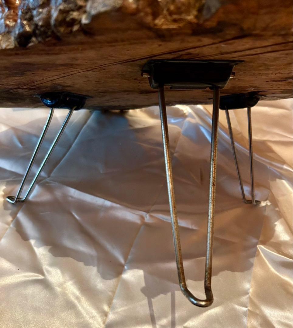 天然木 瘤杢 一枚板 花台／盆栽台／オブジェ台 約10kg ケヤキ系 根瘤材