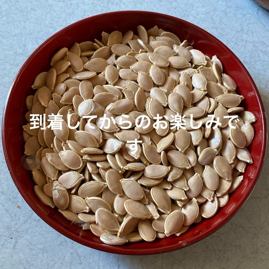 殻付き松の実￼ 2キロ+いろいろ