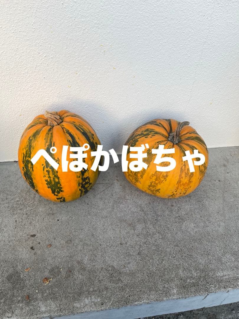 殻付き松の実￼ 2キロ+いろいろ