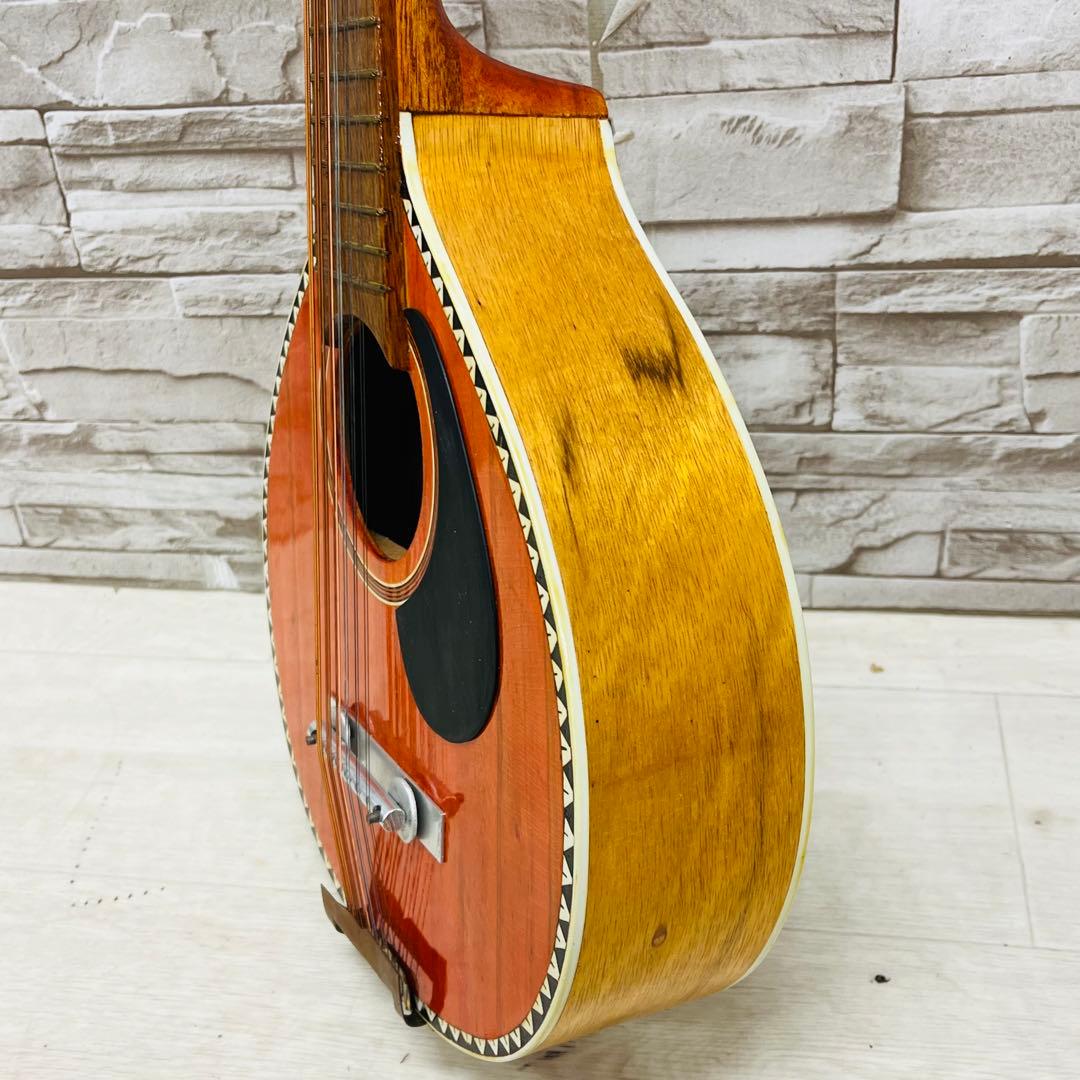 希少 バンドゥリア 小型 リュート属 12弦 撥弦楽器 スペイン ラテンアメリカ