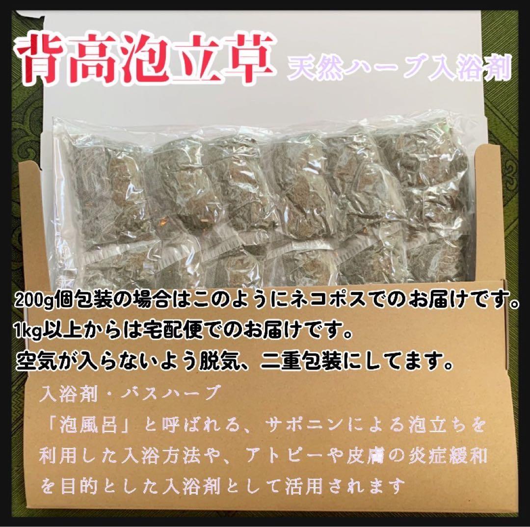 【天然ハーブ】背高泡立草　セイタカアワダチソウ1kg 個包装80個前後