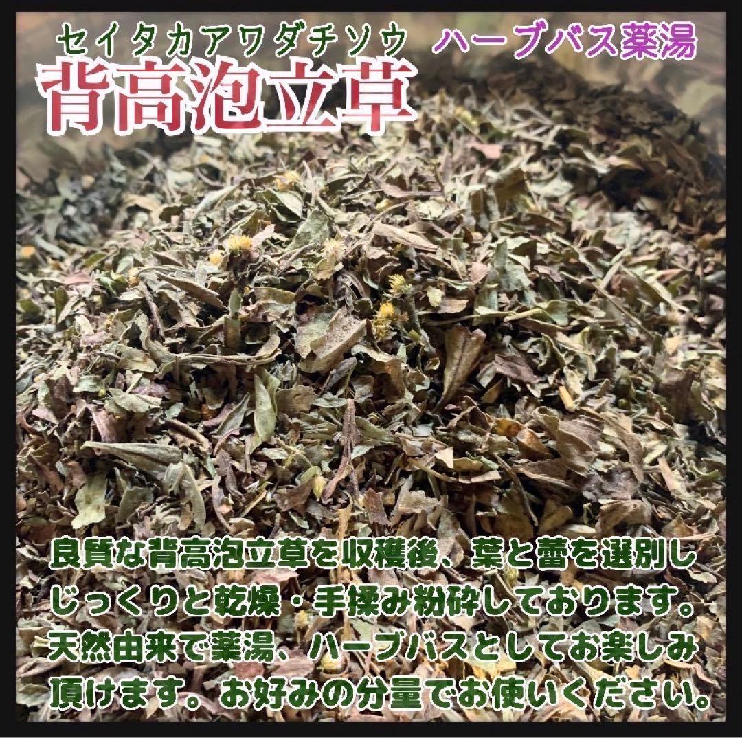 【天然ハーブ】背高泡立草　セイタカアワダチソウ1kg 個包装80個前後