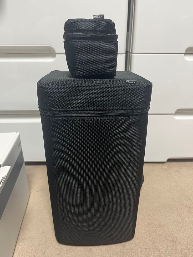 SIGMA 150-600mm F5-6.3 DG sports+α