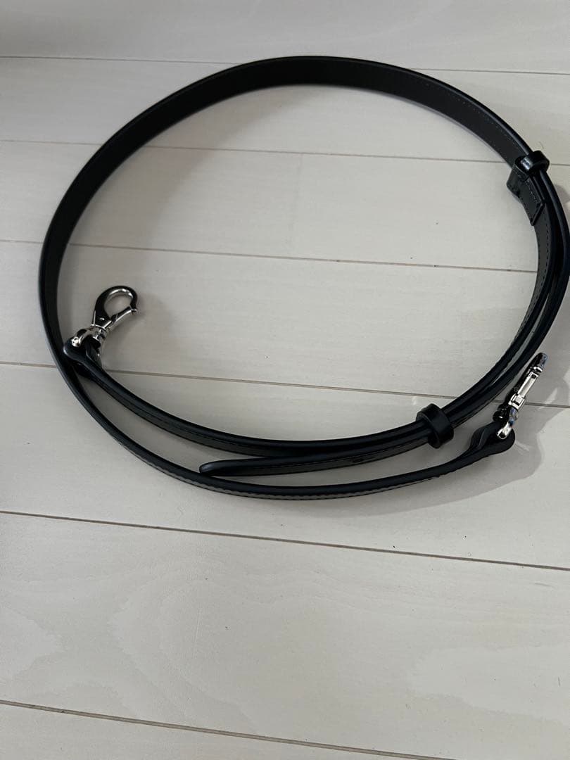 ほぼ未使用品 限定 ワイルドスワンズ × ソメス 860 ショルダーバッグ