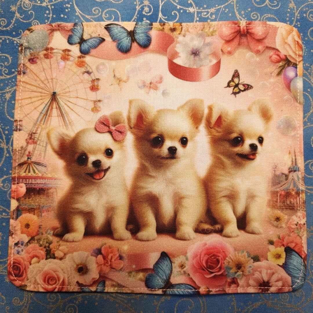 ご確認用　あしべ☆　ハンカチ　ねこちゃん　チワワ柄　21枚