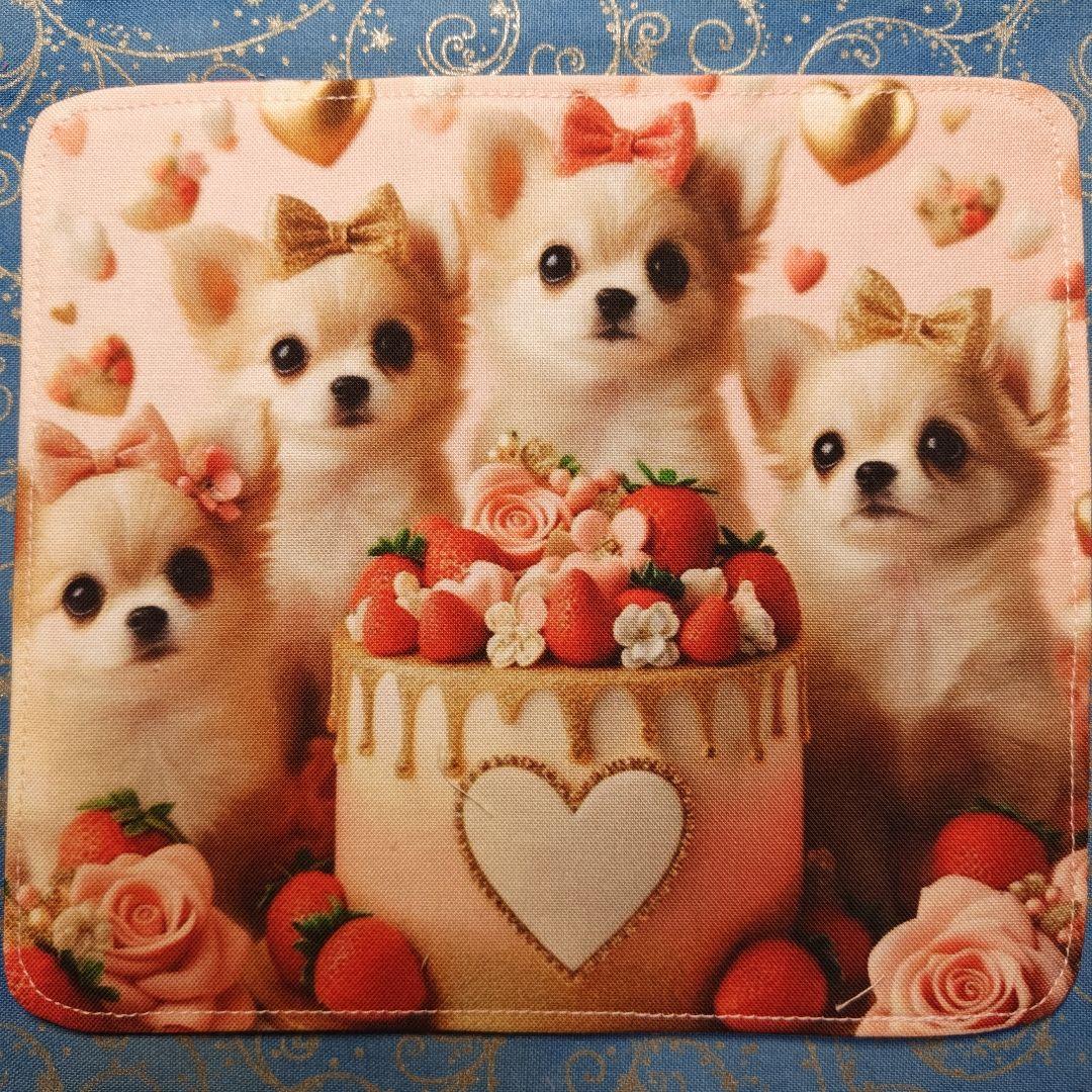 ご確認用　あしべ☆　ハンカチ　ねこちゃん　チワワ柄　21枚