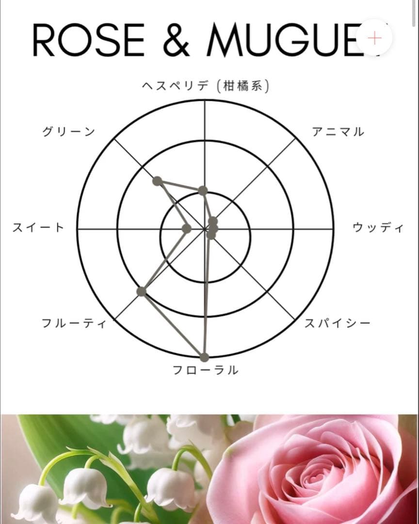 SHOLAYER CHAMPAGNEE ROSE&MUGUET ボディスプレー