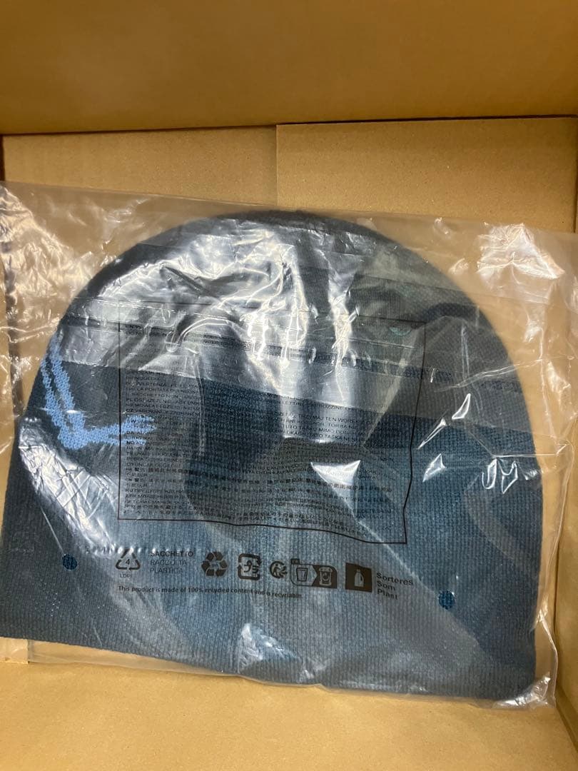 帽子 ARC'TERYX Bird Head Toque Nightscape