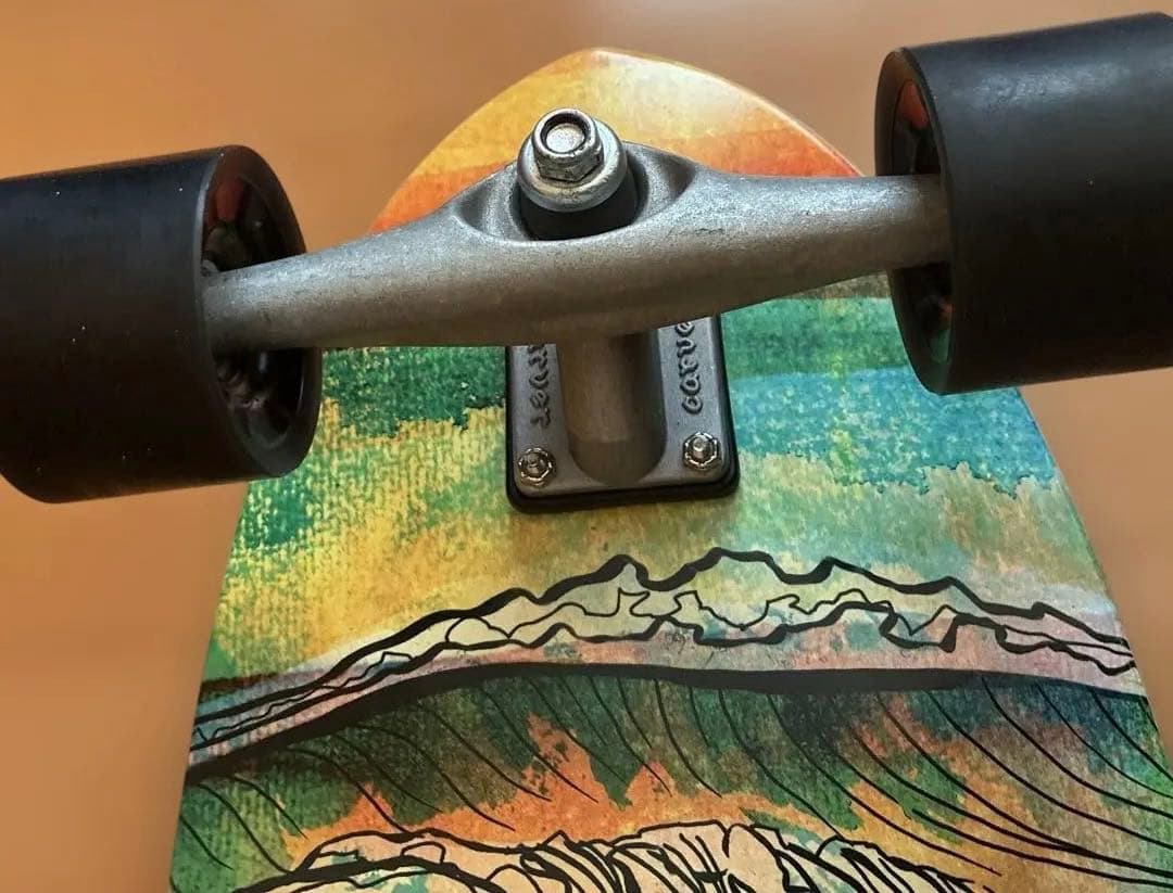 Carver スケートボード 29.0inch CX4 SWALLOW