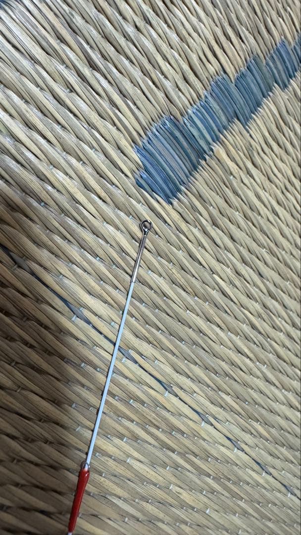 飛竜クロダイ M-53UM ダイワ 前打ち竿 落とし込み ヘチ釣り