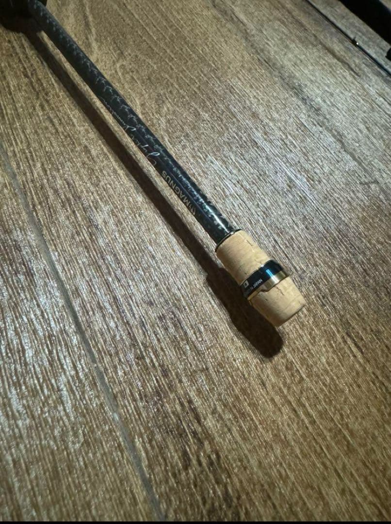 g-tec XrosSensitive XSS-67ST-Proフルフィルメント