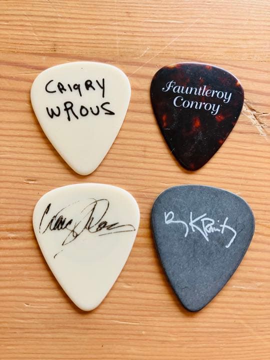 レニークラヴィッツ　バンドメンバー　ギターピックセット　4枚