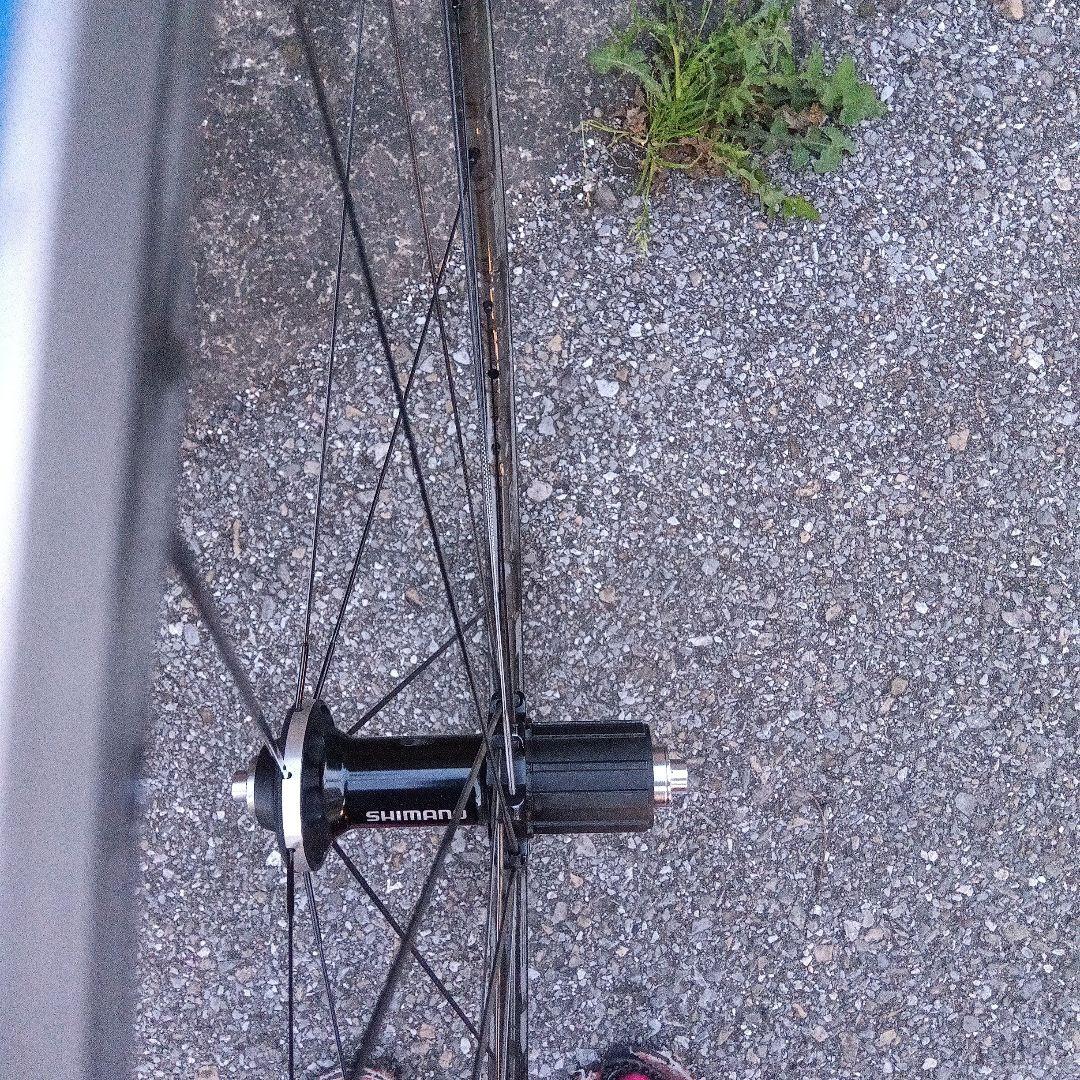 シマノ　 RS81 C35 11速　シマノ　カーボン　ラミネート　ホイール