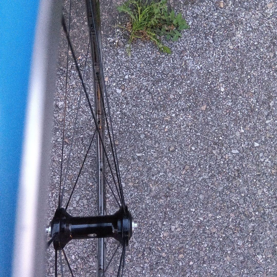 シマノ　 RS81 C35 11速　シマノ　カーボン　ラミネート　ホイール