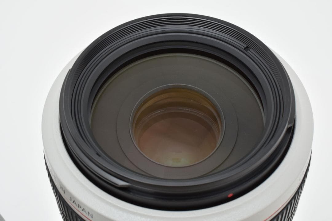 ★極上品★キヤノン EF 70-300mm f4-5.6 L IS USM