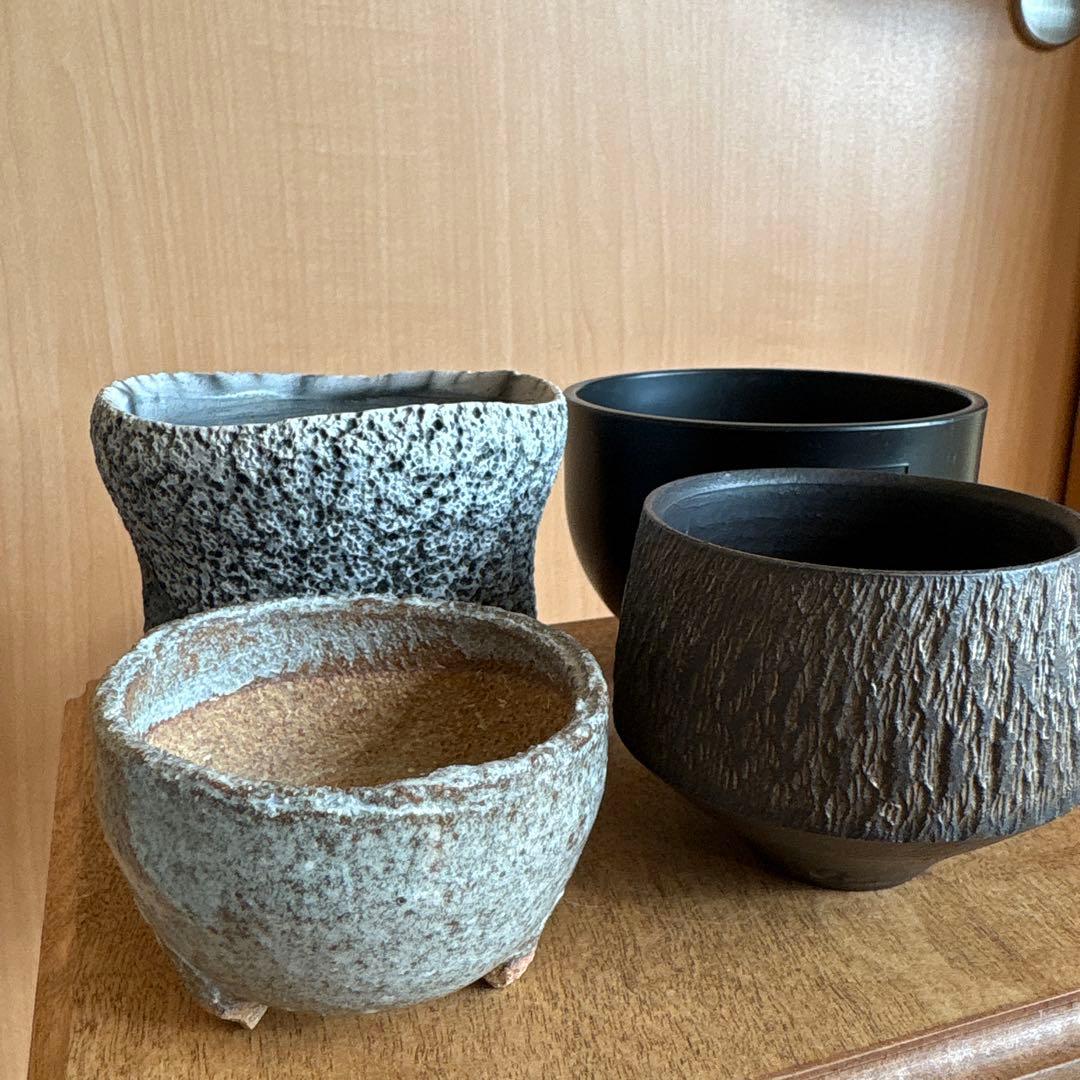 BOTANIZE GOUJIN 陶器鉢　セット
