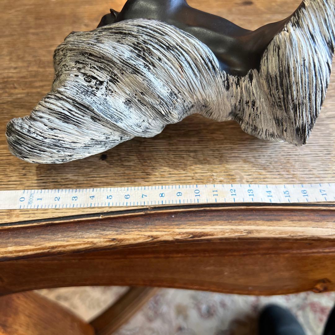 KingRayコーラル　フランク・シャーマン　オブジェ