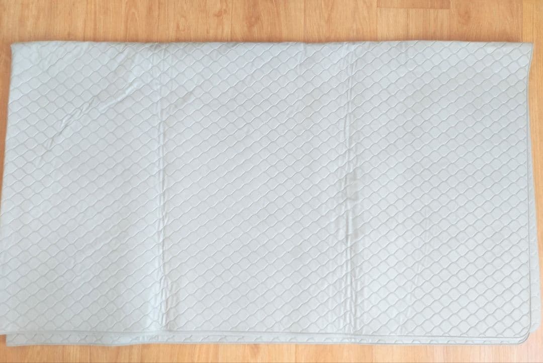 くまちゃん専用　コスモヘルス　プロ9000