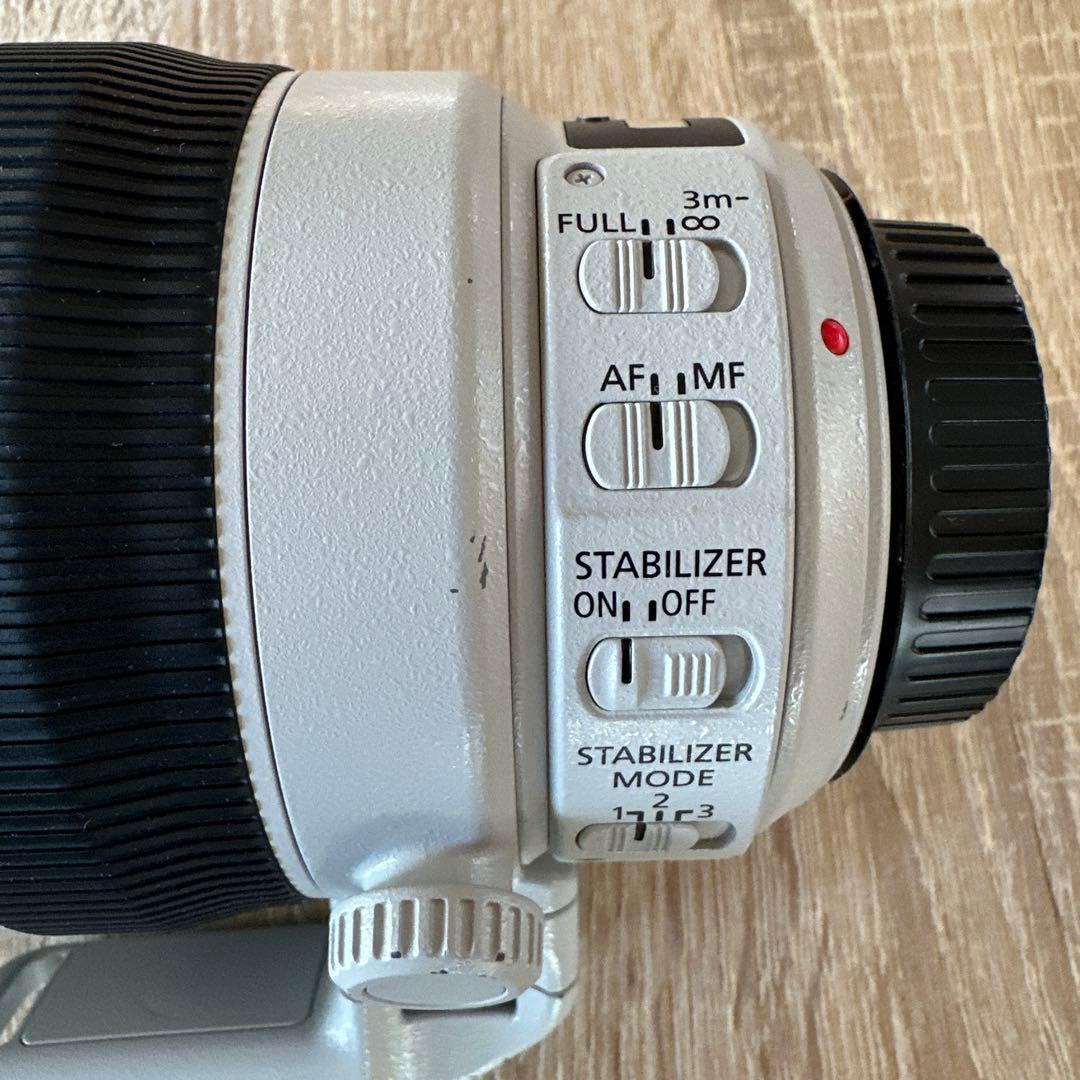 トシ様Canon EF100-400mm F4.5-5.6L IS II USM