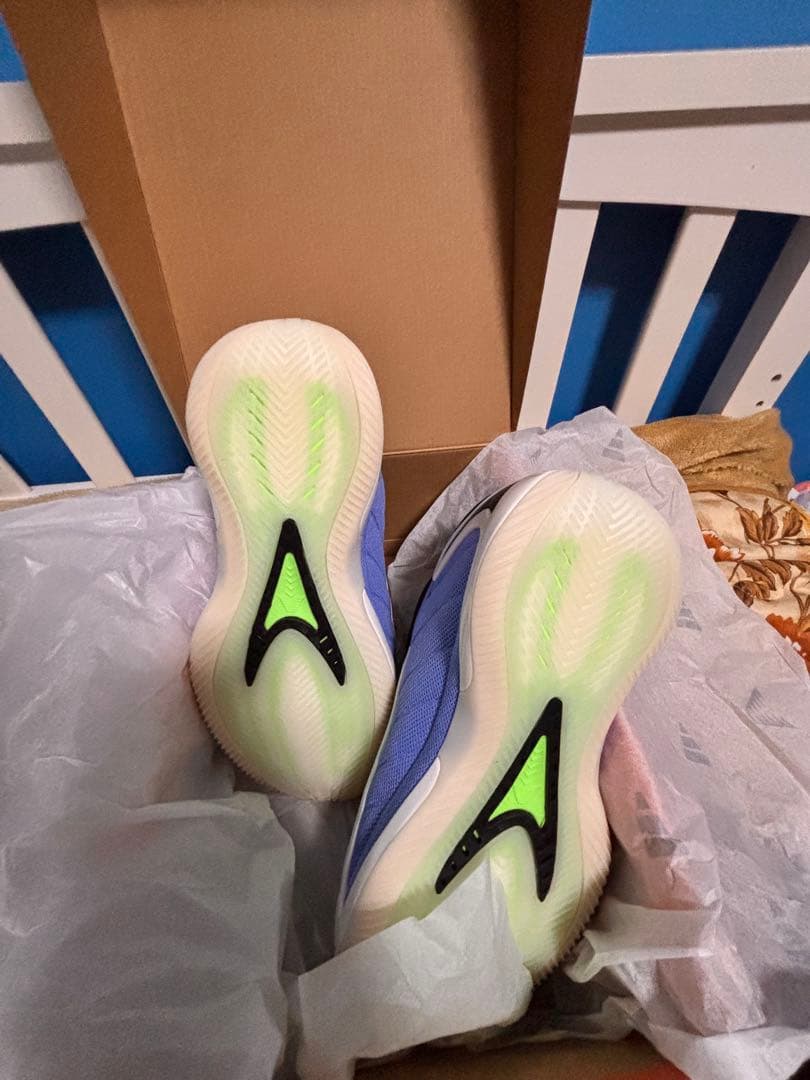 【美品】adidas ANTHONY EDWARDS 2 29cm 箱付き