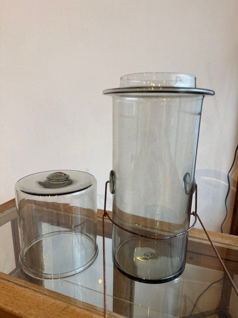 Peter Ivy パスタジャー Msize