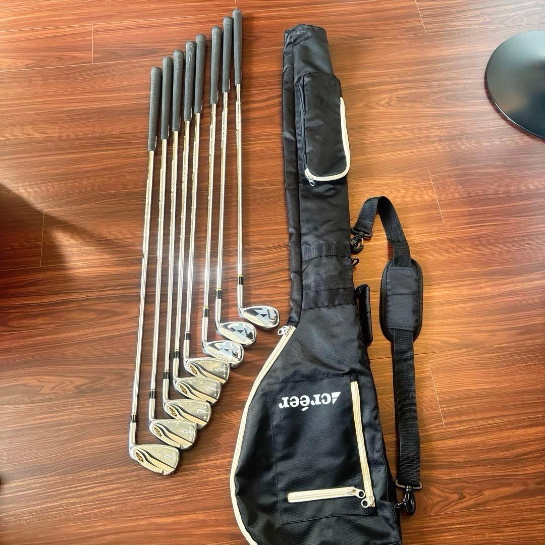 【美品】RomaRo Ray α FORGED DG105 R300 8本 特注