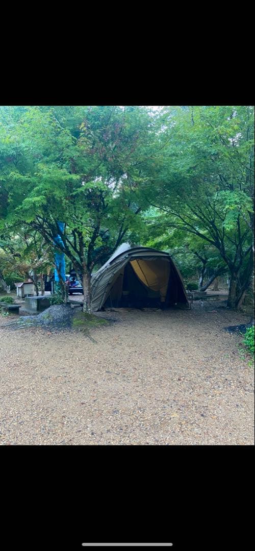 ゼインアーツ　ロロ