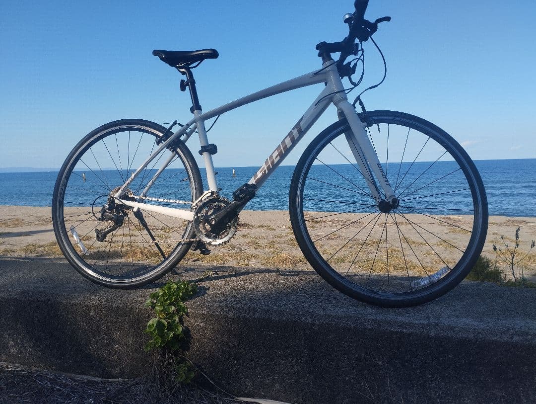 GIANT クロスバイク 軽量高速モデル Sサイズ