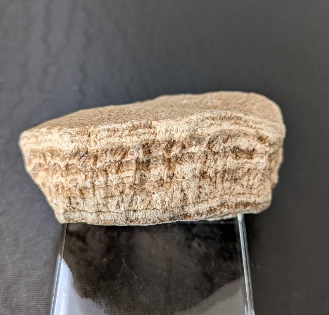 ★秋田玉川温泉産『北投石』２７６ｇ 素晴らしいシマ模様と線量✨ 年末年始セール