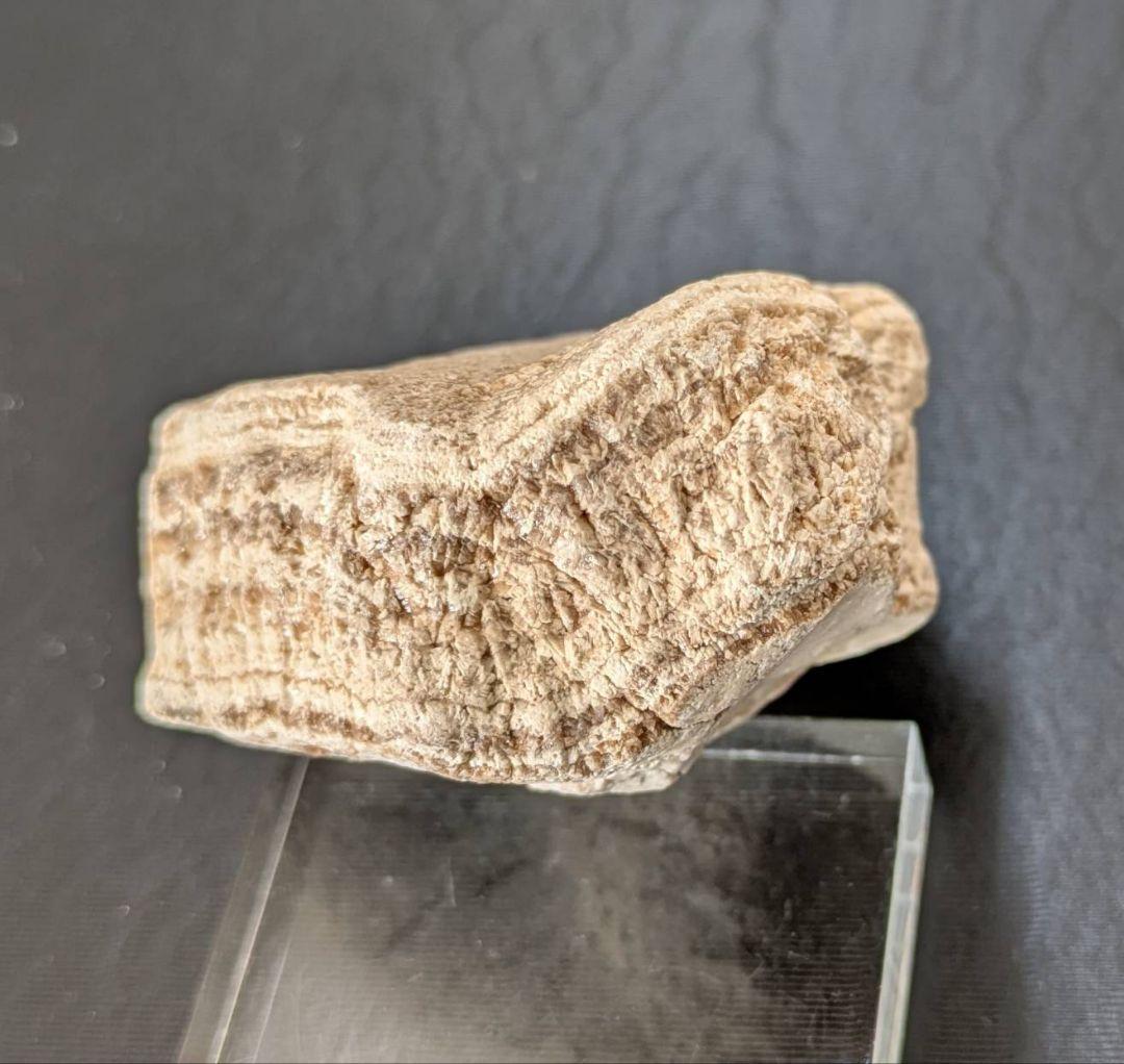 ★秋田玉川温泉産『北投石』２７６ｇ 素晴らしいシマ模様と線量✨ 年末年始セール