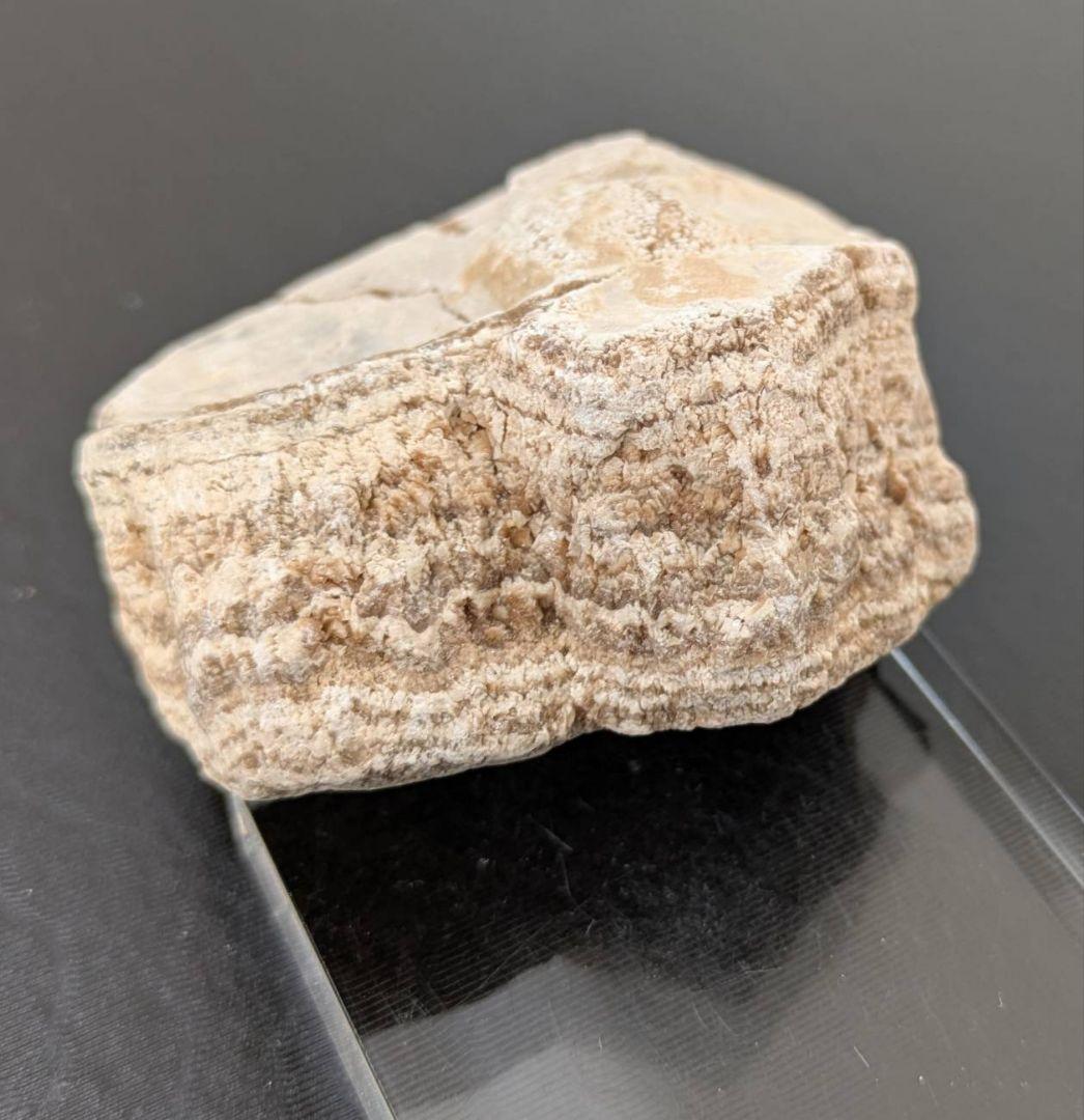 ★秋田玉川温泉産『北投石』２７６ｇ 素晴らしいシマ模様と線量✨ 年末年始セール