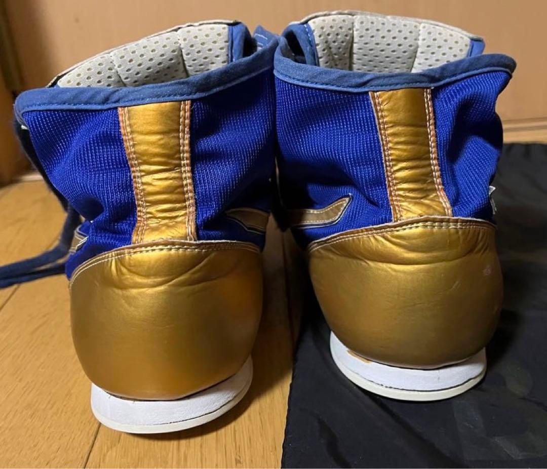 ボクシングシューズ　26cm ミズノ　　メンズ