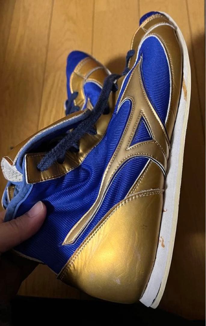 ボクシングシューズ　26cm ミズノ　　メンズ