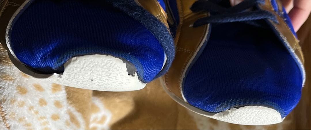 ボクシングシューズ　26cm ミズノ　　メンズ