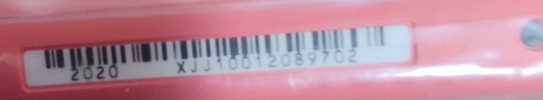 Nintendo Switch Lite コーラル 付属品完備 おまけ付