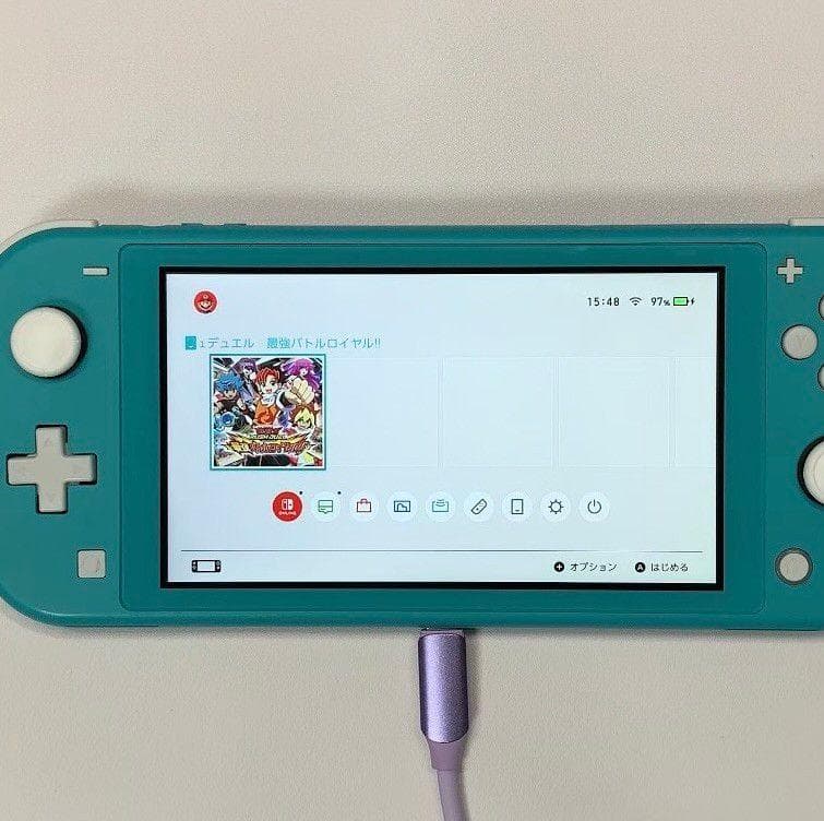 Nintendo Switch Lite 本体 動作品 どうぶつの森 ケース付き