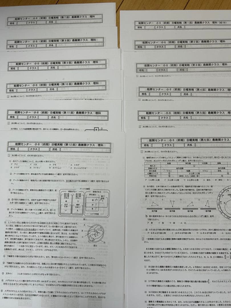 前期日曜実践4科目最難関クラス、後期日曜実践星光クラス専用ページ