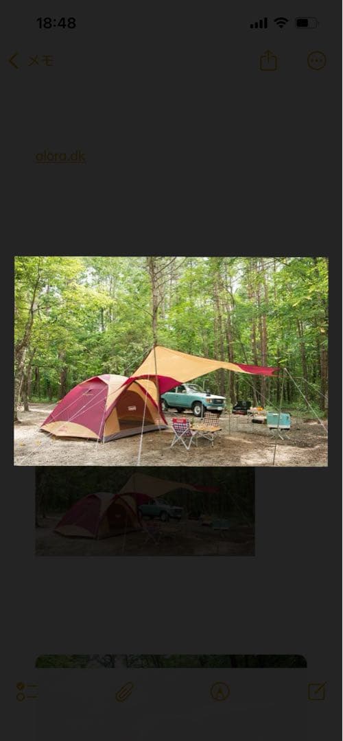 Coleman タフワイドドーム IV/300 ヘキサタープセット WEB限定