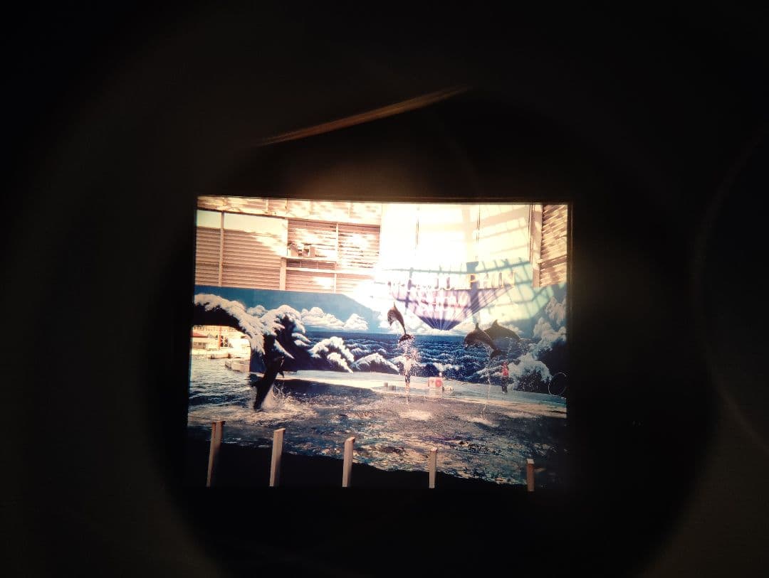 ワック　視力回復トレーニング