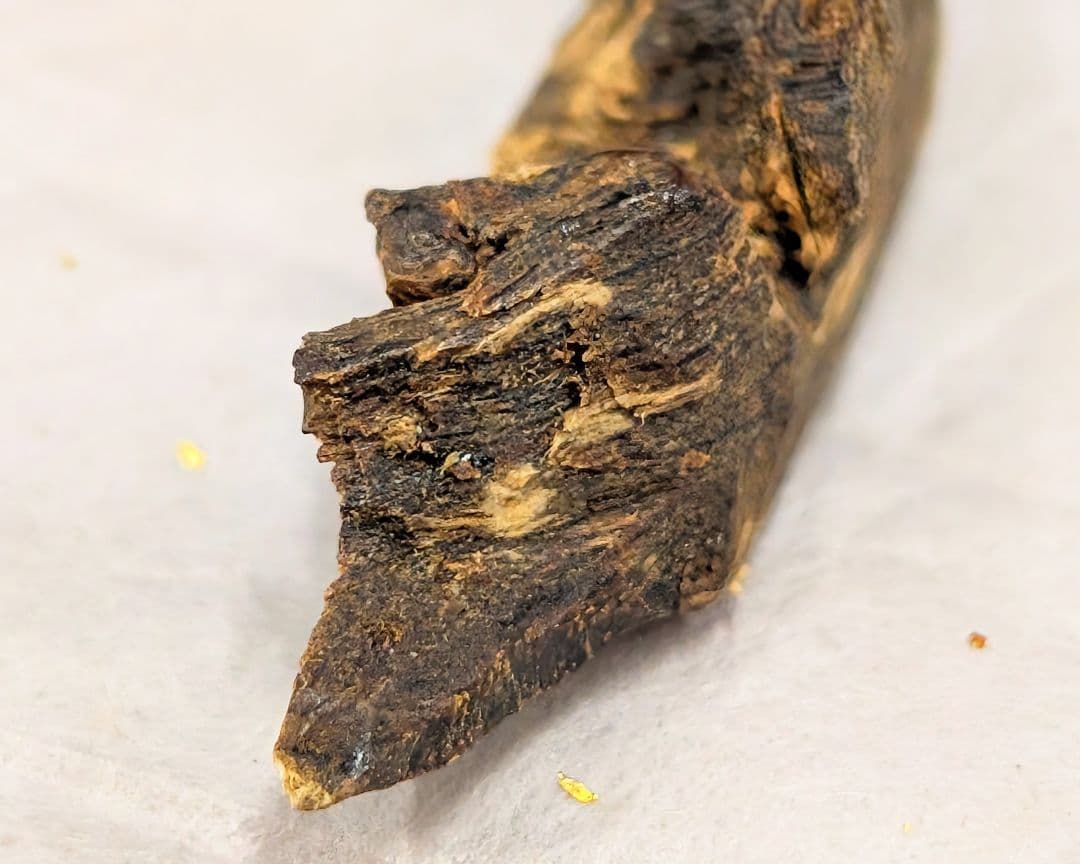 〈真那賀〉　聞香　香木　沈香　香道　奇南　伽南　沉香　志野流