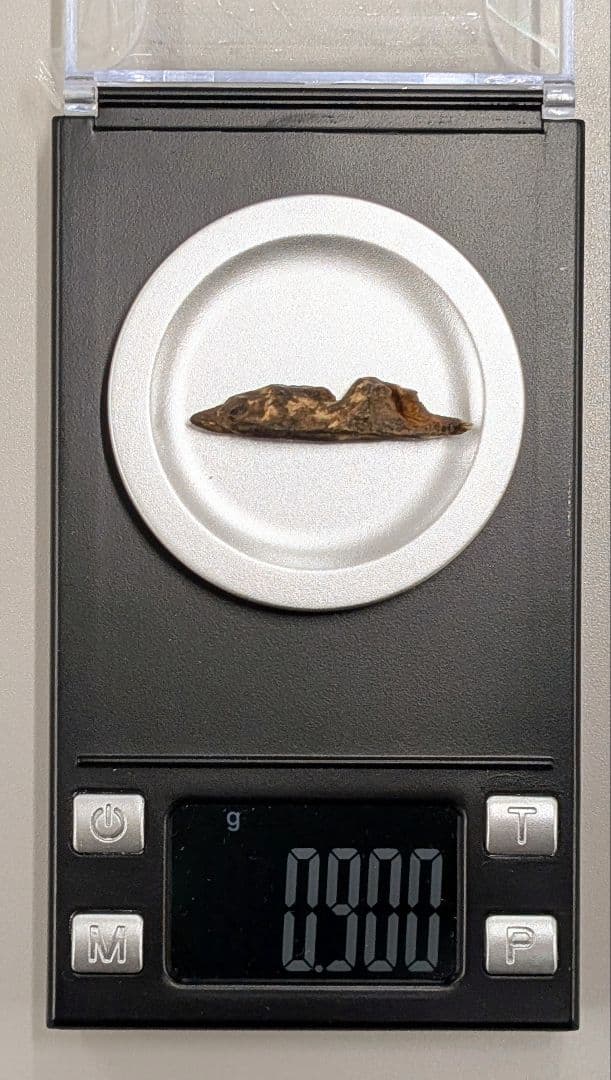 〈真那賀〉　聞香　香木　沈香　香道　奇南　伽南　沉香　志野流