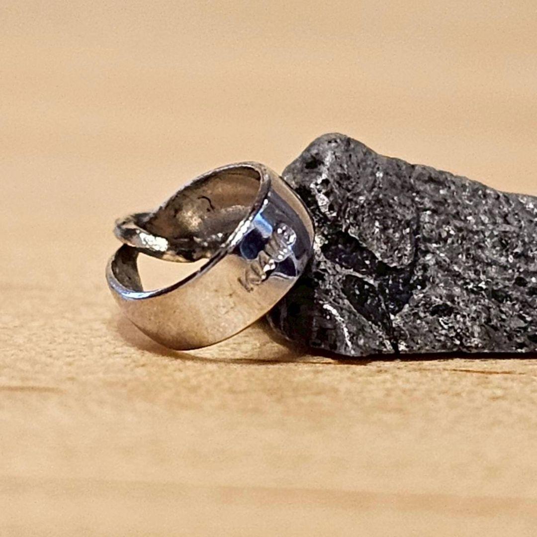 【アキムネ】ギベオン隕石 ペンダントトップのみ【鑑別書付】