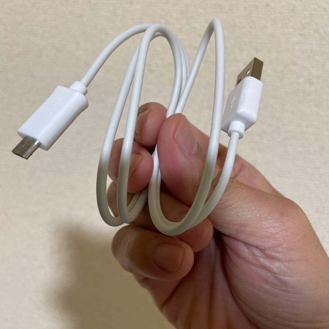 電子リコーダー　 ルナティカ