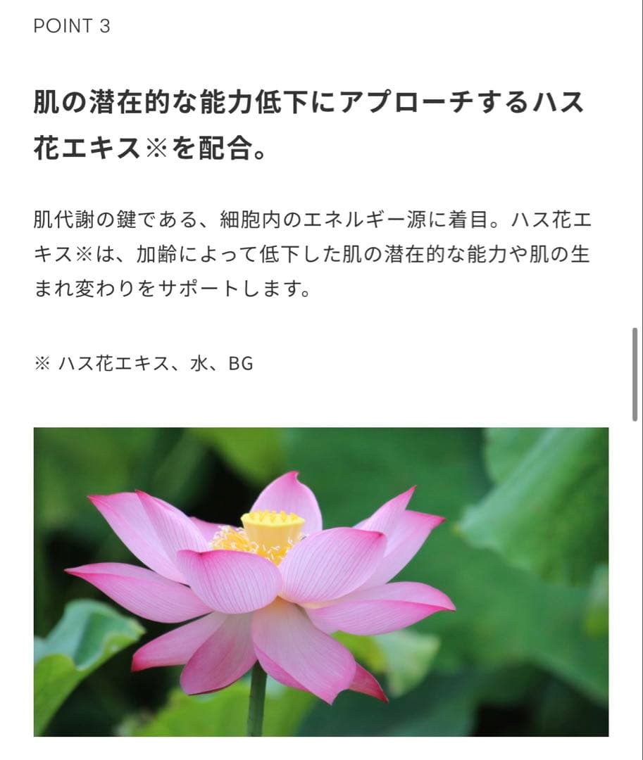 【SINN PURETÉ】 ☆高級☆ AGコンセントレイト フェイスクリームa