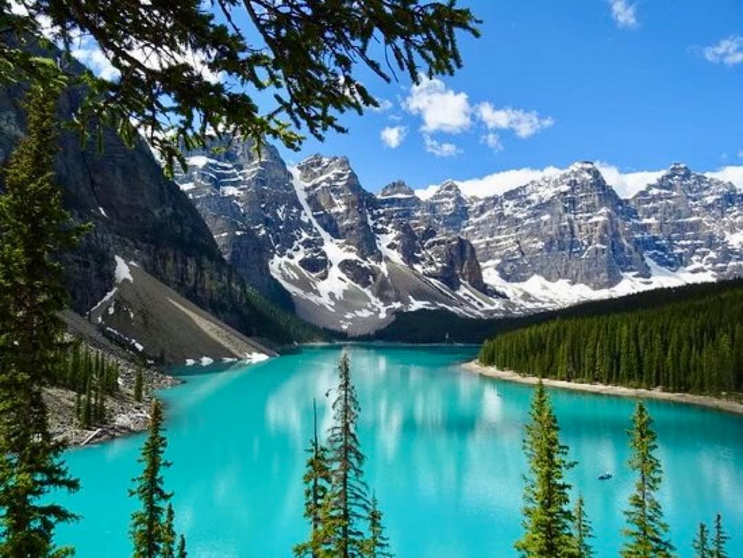 ナデシコ　究極品質　レインボーアンモライトとシルバーギベオンの六芒星PT