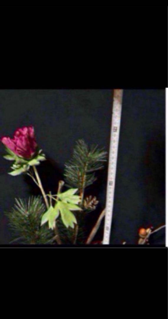 花　アートフラワーブーケ　造花　寒牡丹　松ぼっくり　松　ドングリ　立体　絵画