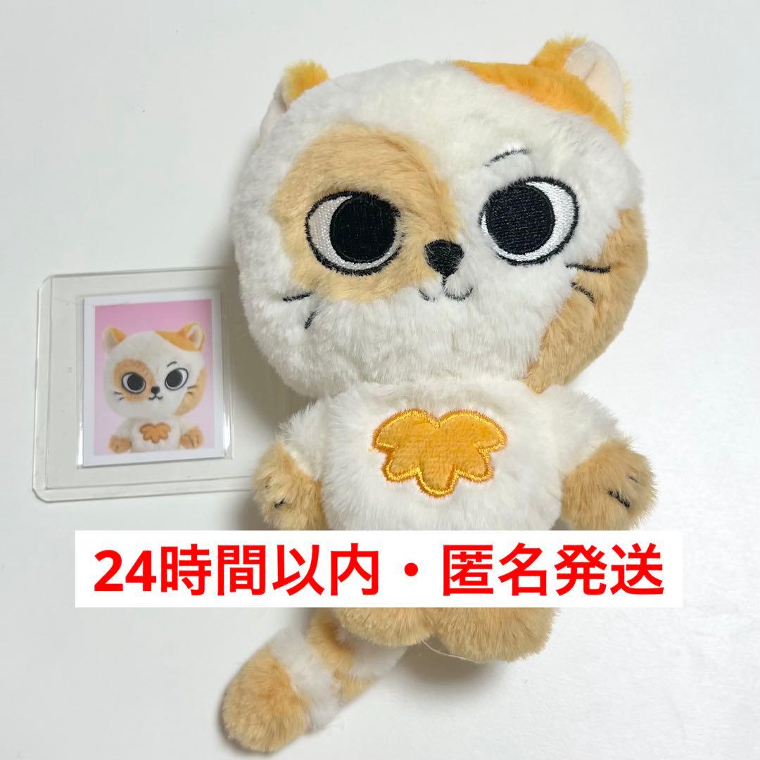 BOYNEXTDOOR BBNEXDO プネクド キーリング ソンホ ケッピ - メルカリ