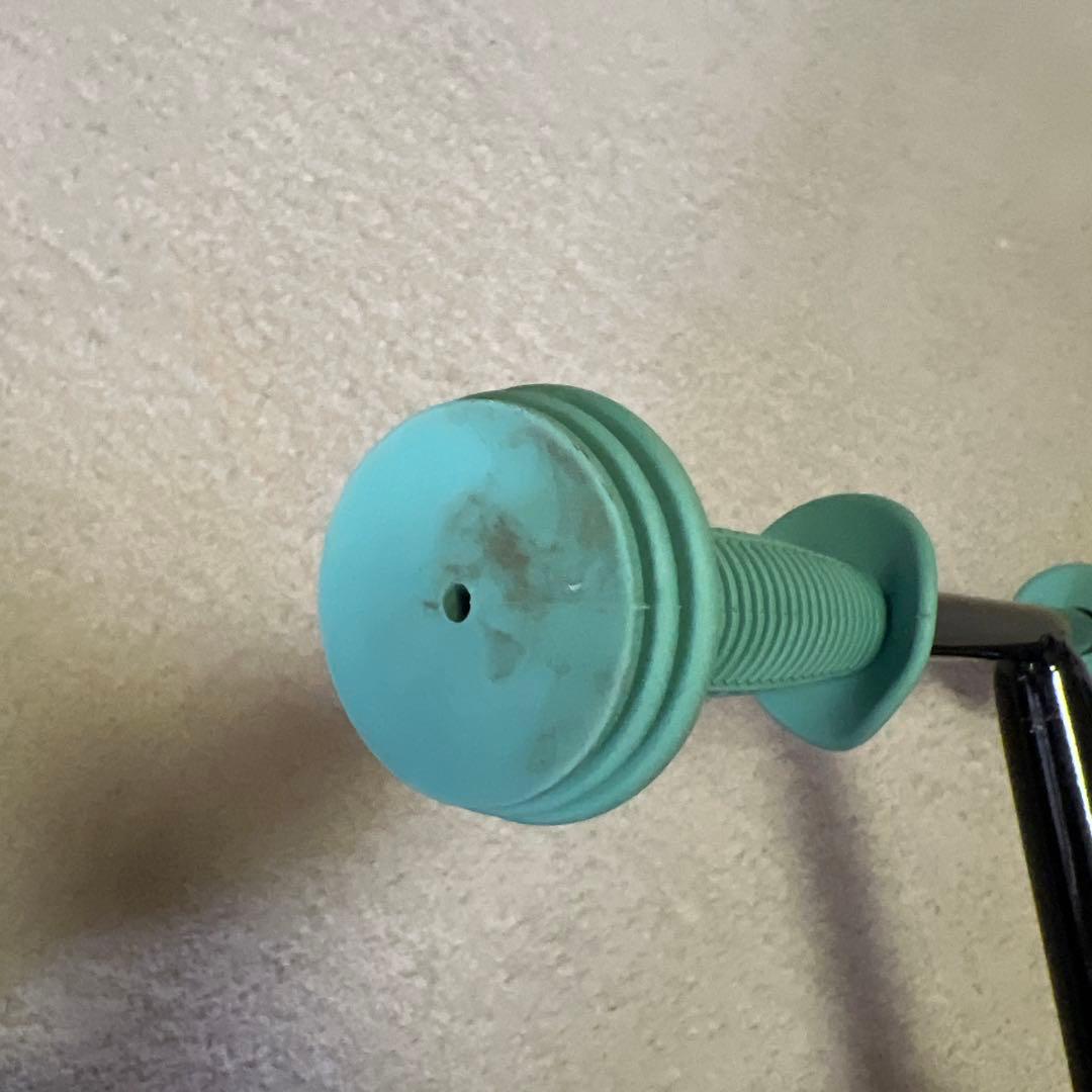 ストライダー　ムラサキスポーツ　限定